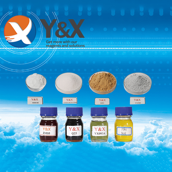 La CINA Y&X Beijing Technology Co., Ltd. Profilo aziendale 