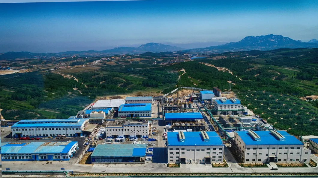 D486: Depressivo per la bonifica di minerali di solfuro contenenti carbonio 6